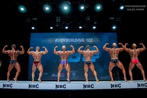 BODYBUILDING 102